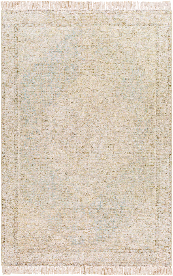 Amasya AMY-2302 2' x 3' Rug