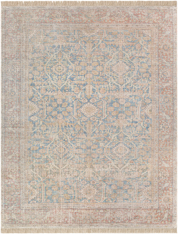 Amasya AMY-2303 2' x 3' Rug