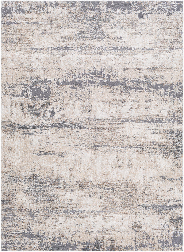 Andorra ARD-2300 2' x 3' Rug