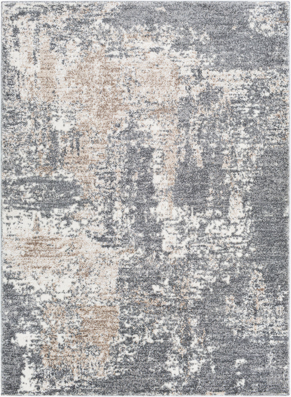 Andorra ARD-2302 2' x 3' Rug