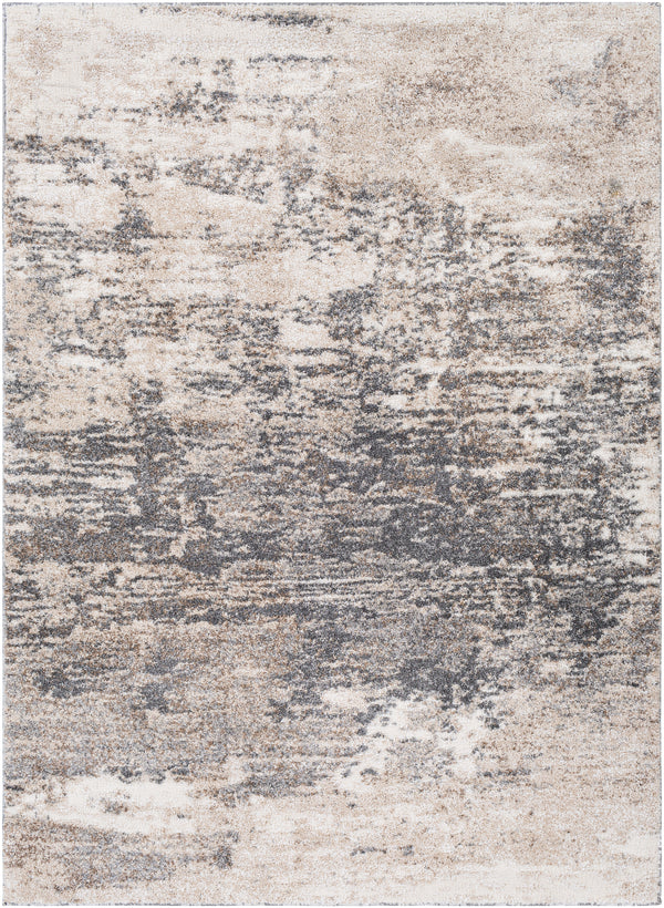 Andorra ARD-2305 2' x 3' Rug