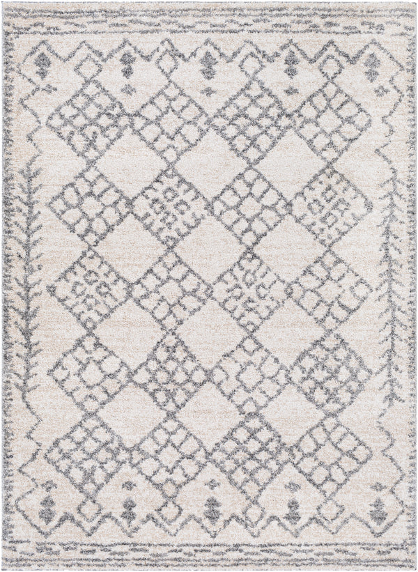 Andorra ARD-2307 2' x 3' Rug