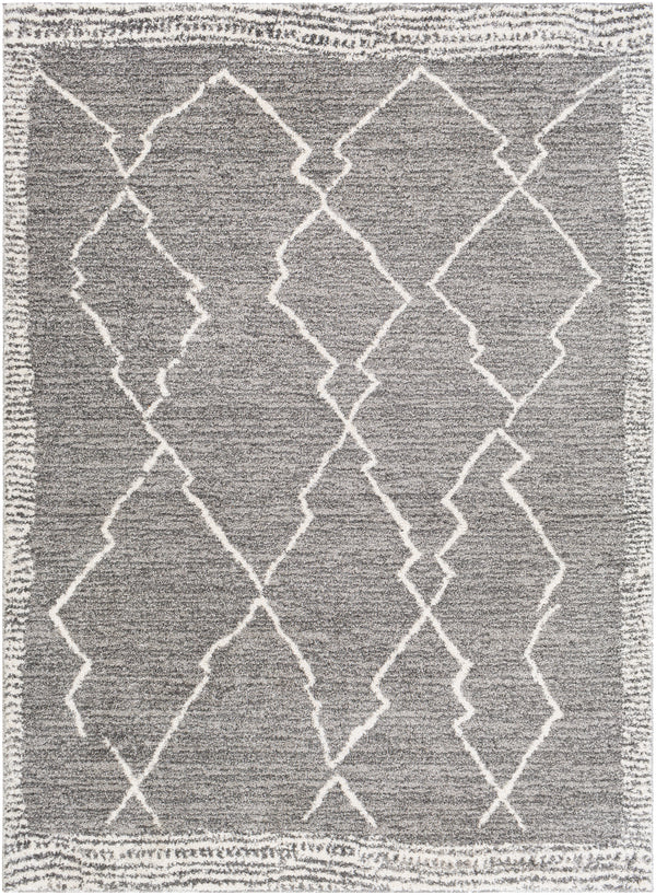 Andorra ARD-2309 2' x 3' Rug