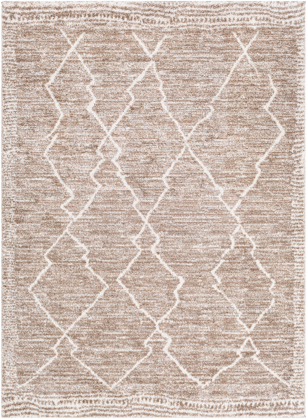 Andorra ARD-2310 2' x 3' Rug