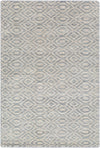 Astara ASA-1004 2' x 3' Rug