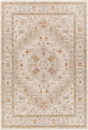 Avant Garde AVT-2313 10' x 14' Rug