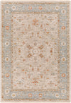 Avant Garde AVT-2316 10' x 14' Rug