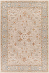 Avant Garde AVT-2316 10' x 14' Rug