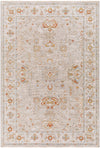 Avant Garde AVT-2319 10' x 14' Rug