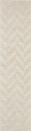 Central Park AWHP-4028 2'3" x 10' Rug