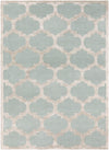 Arise AWRS-2122 2'3" x 10' Rug