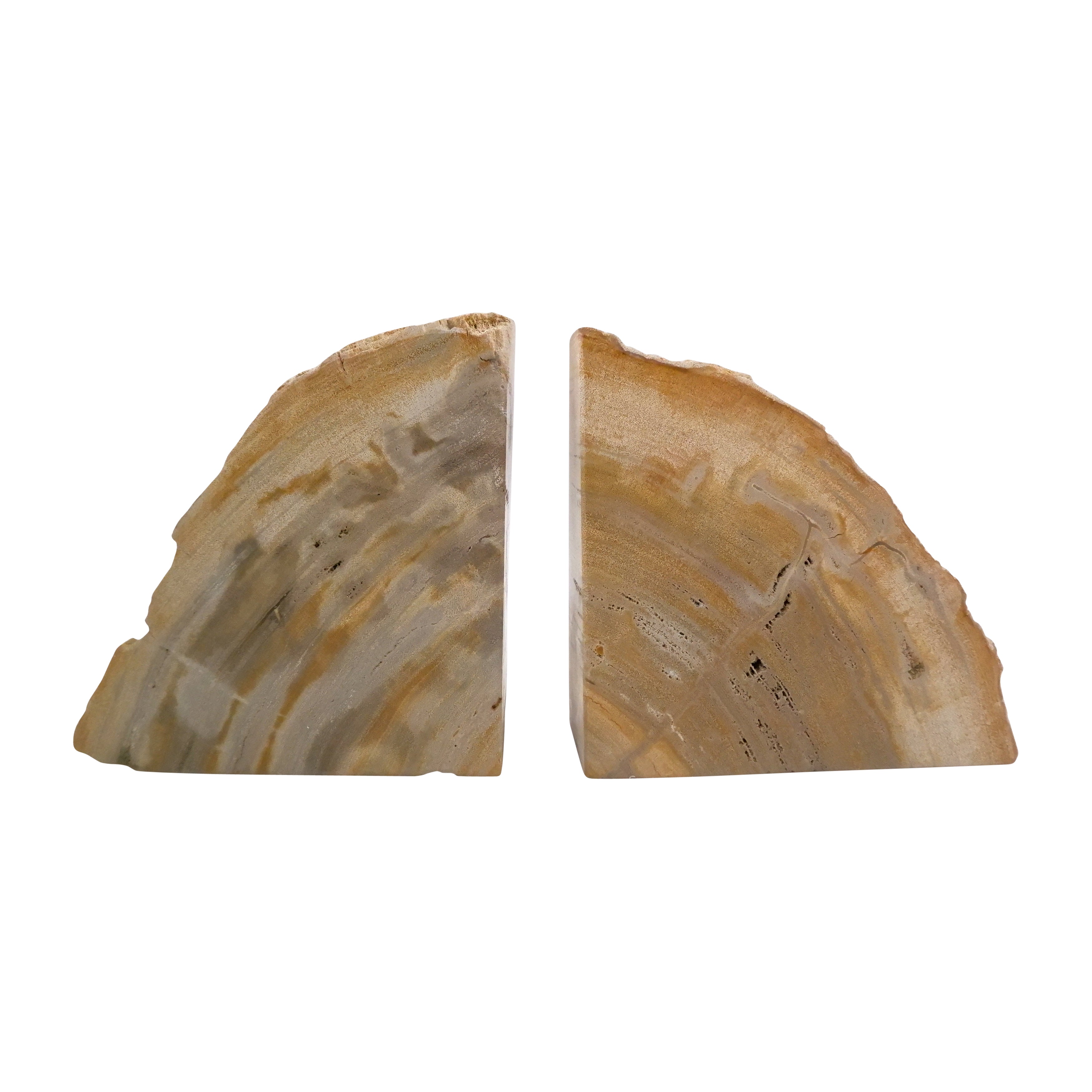 Petrified Wood, S/2 5