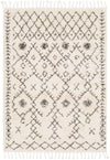 Berber Shag BBE-2302 2'7" x 7'3" Rug