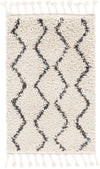 Berber Shag BBE-2303 10' x 13'11" Rug