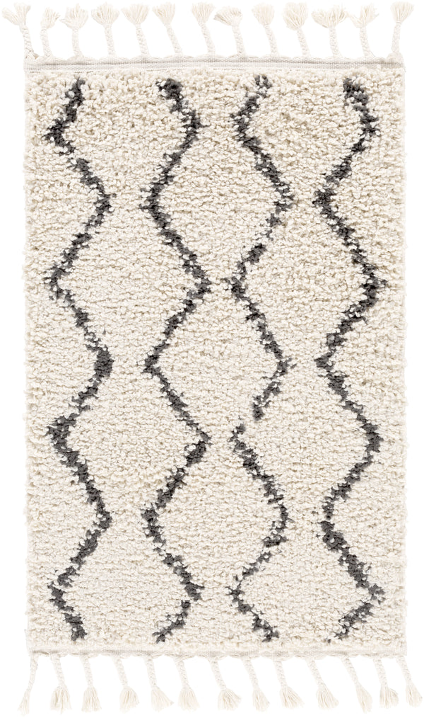 Berber Shag BBE-2303 10' x 13'11" Rug