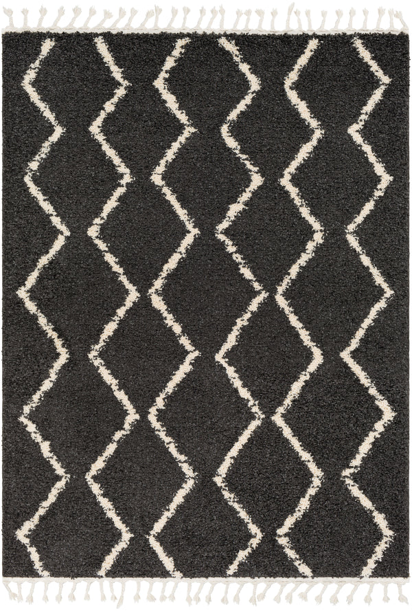 Berber Shag BBE-2306 2'7" x 7'3" Rug