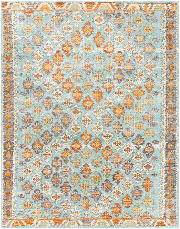 Bodrum BDM-2317 5'3" x 7'3" Rug