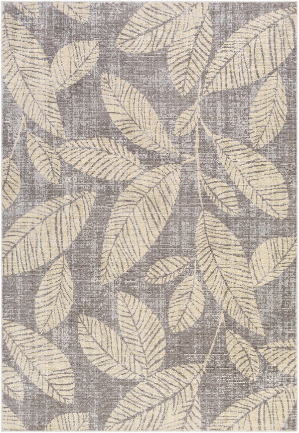 Bodrum BDM-2322 5'3" x 7'3" Rug