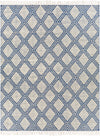 Bedouin BDO-2317 2' x 3' Rug