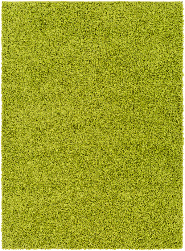 Bliss shag BLI-2301 2' x 3' Rug