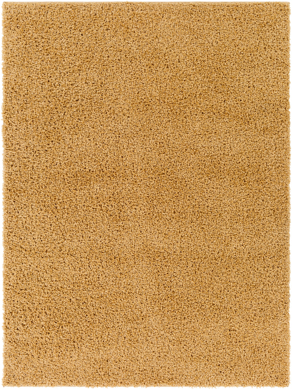 Bliss shag BLI-2304 2' x 3' Rug