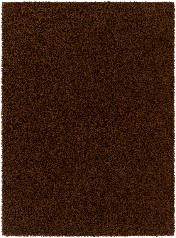 Bliss shag BLI-2306 2' x 3' Rug