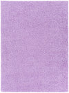 Bliss shag BLI-2307 2' x 3' Rug