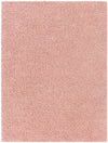 Bliss shag BLI-2309 2' x 3' Rug