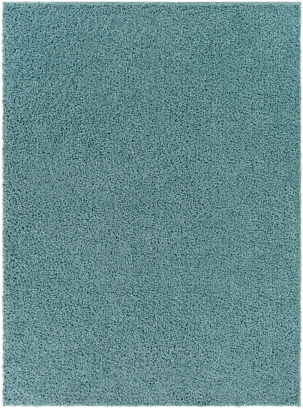 Bliss shag BLI-2310 2' x 3' Rug