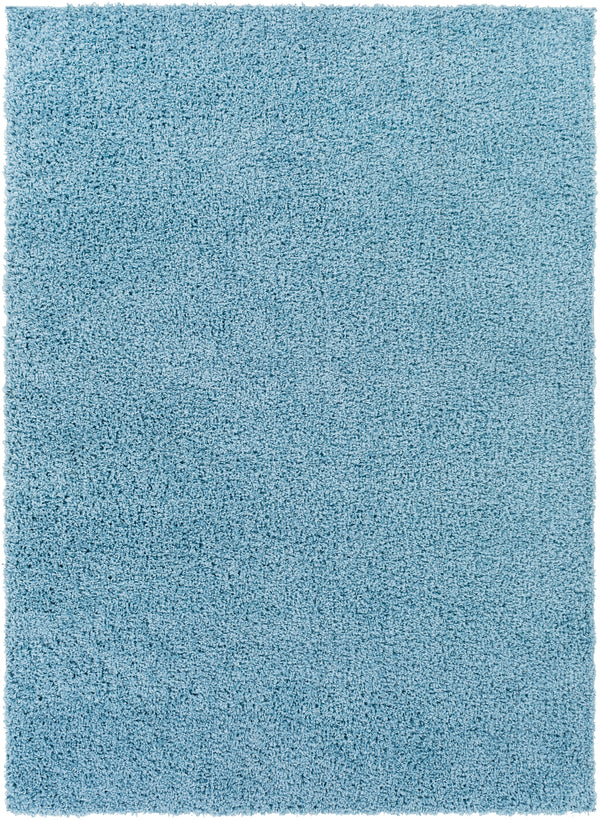 Bliss shag BLI-2313 2' x 3' Rug