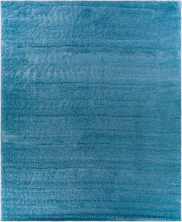 Bliss shag BLI-2313 2' x 3' Rug