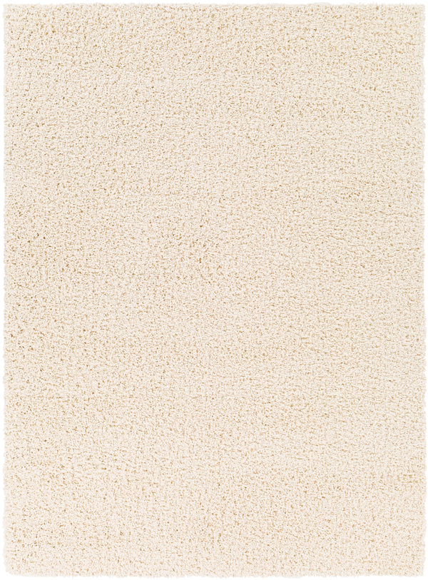 Bliss shag BLI-2315 2' x 3' Rug