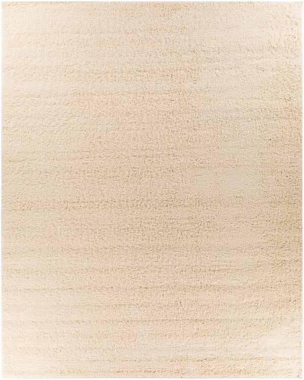 Bliss shag BLI-2315 2' x 3' Rug