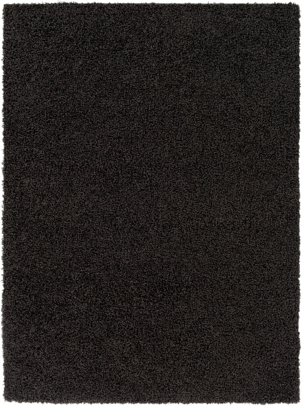 Bliss shag BLI-2318 2' x 3' Rug