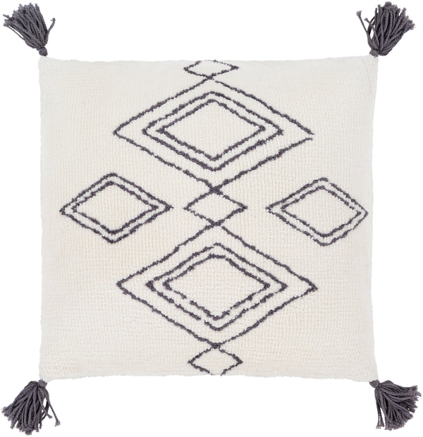 Braith BRH-001 22"H x 22"W Pillow Cover