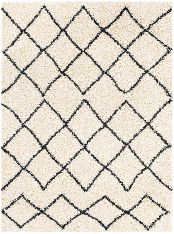 Beni shag BSH-2301 2'7" x 7'3" Rug