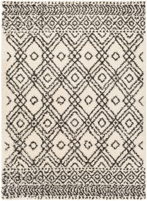 Beni shag BSH-2310 2'7" x 7'3" Rug