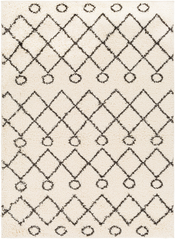 Beni shag BSH-2313 2'7" x 7'3" Rug