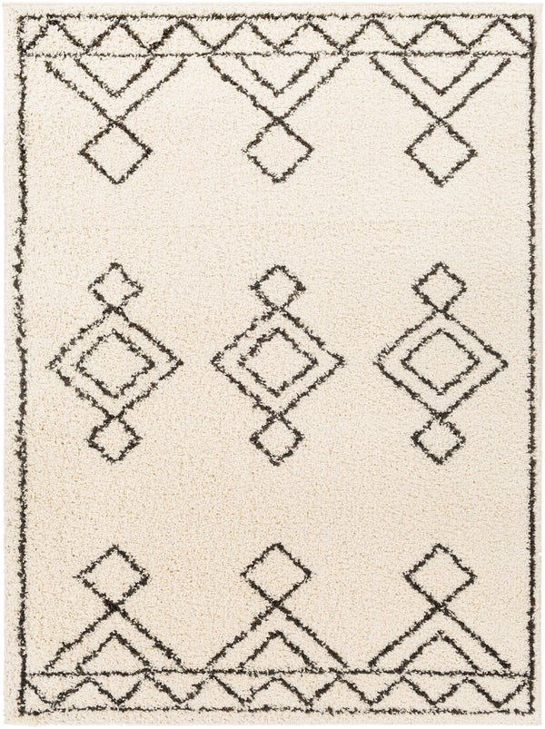 Beni shag BSH-2314 2'7" x 7'3" Rug