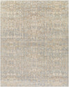 Biscayne BSY-2310 2' x 3' Rug