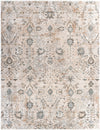 Brunswick BWK-2311 2'7" x 10' Rug