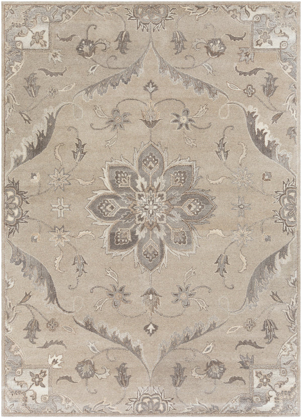 Caesar CAE-1201 2' x 4' Hearth Rug