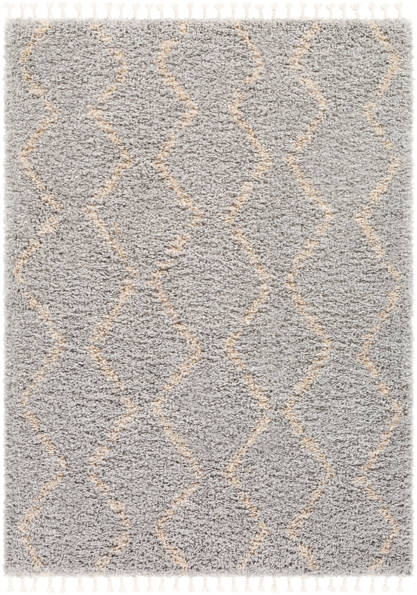 California Shag CAF-2303 5'3" x 7'3" Rug