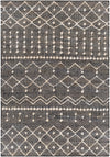 Cadence CEC-2303 2'6" x 8' Rug