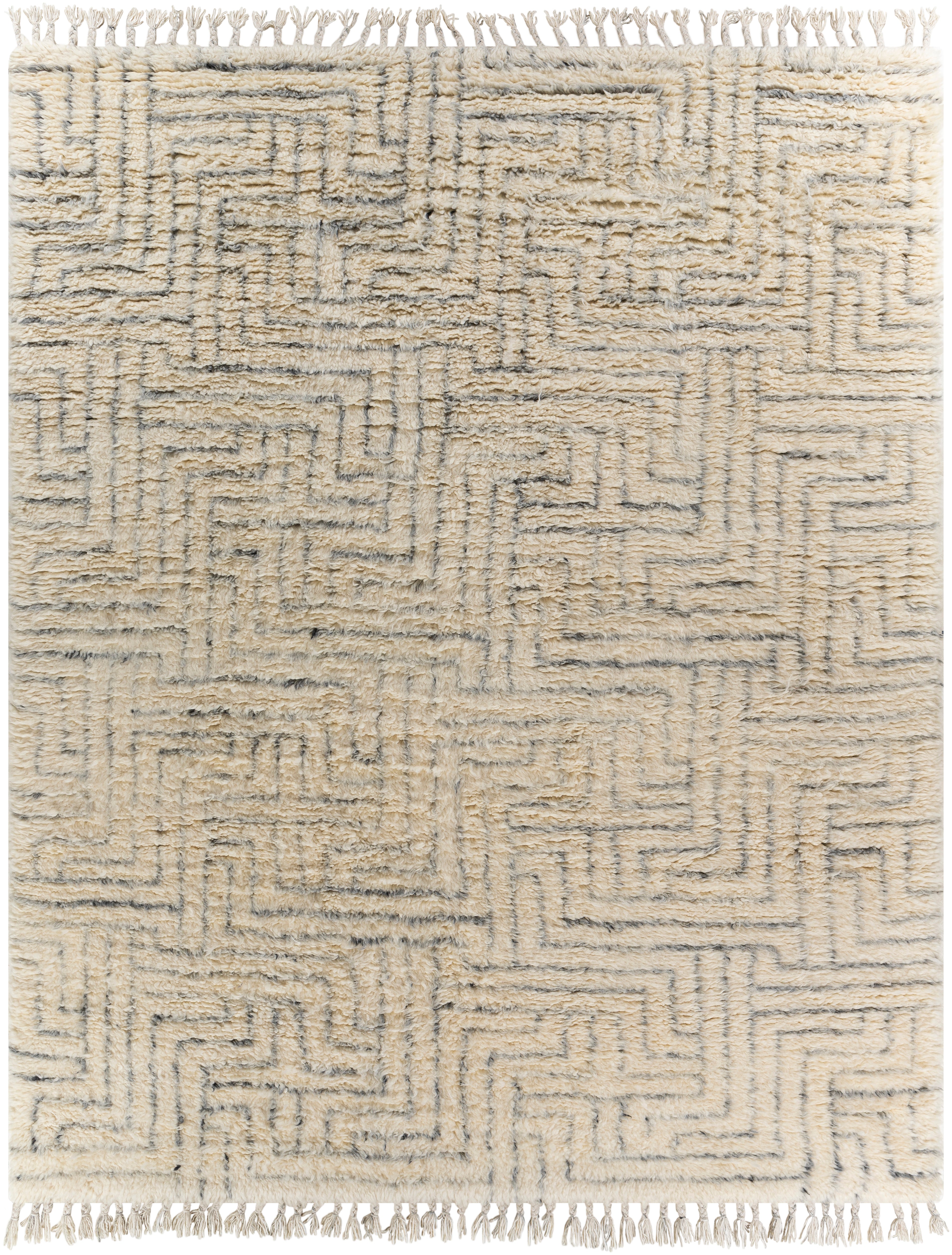 Camille CME-2302 2' x 3' Rug