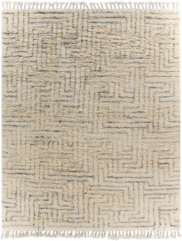 Camille CME-2302 2' x 3' Rug