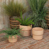 Cer, S/3 7/9/10"d Mushroom Planters, Blush