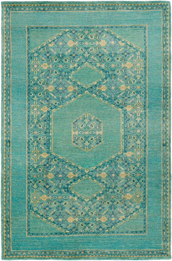 Haven HVN-1217 2' x 3' Rug