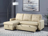 Dafina Sectional Sofa