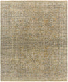 Reign REG-2303 10' x 14' Rug